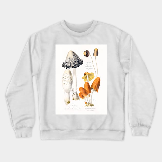 Mushroom species Crewneck Sweatshirt by WAITE-SMITH VINTAGE ART